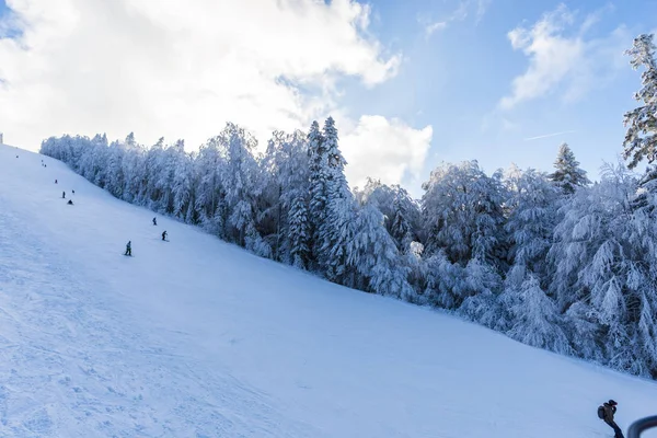 Aktive Skifahrer Winter Bergen Schneebedeckten Bäumen Und Landschaft Skigebiet — Stockfoto
