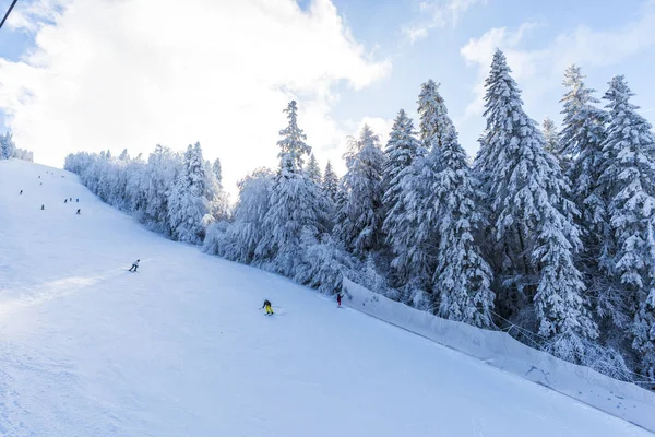 Personnes Actives Skiant Hiver Montagne Arbres Enneigés Paysage Station — Photo