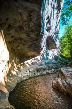 Ormanda akarsu ile Kanyon