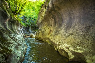 Ormanda akarsu ile Kanyon