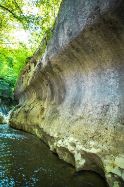 Ormanda akarsu ile Kanyon