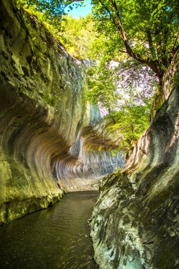 Ormanda akarsu ile Kanyon