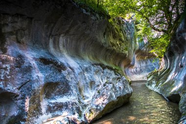 Ormanda akarsu ile Kanyon