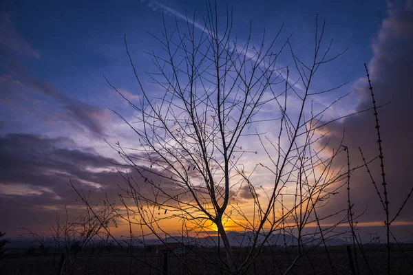 Fält Med Färgstark Solnedgång Himmel Bakgrund — Stockfoto