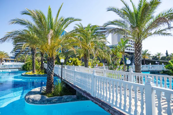 Poolside Tropical Palms Resort — Stock Photo, Image