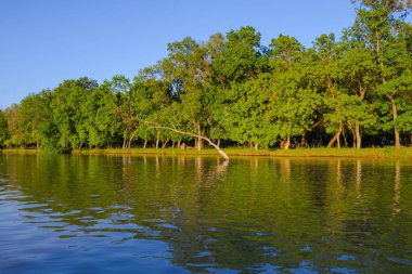 Pürüzsüz yansıtıcı su ile Riverside