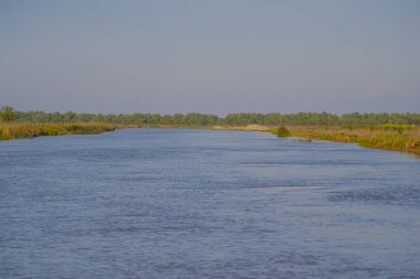 Yanlarda bitkiler ile nehir suyu