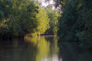 Pürüzsüz yansıtıcı su ile Riverside
