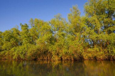 Pürüzsüz yansıtıcı su ile Riverside