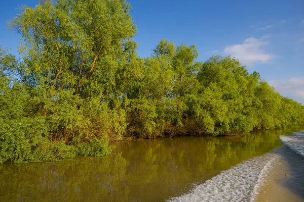 Pürüzsüz Yansıtıcı Ile Riverside — Stok fotoğraf