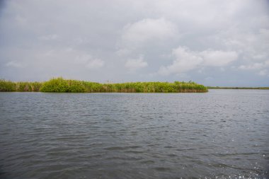 Yanlarda bitkiler ile nehir suyu