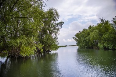 Pürüzsüz yansıtıcı su ile Riverside