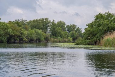 Pürüzsüz yansıtıcı su ile Riverside