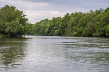 Yanlarda bitkiler ile nehir suyu