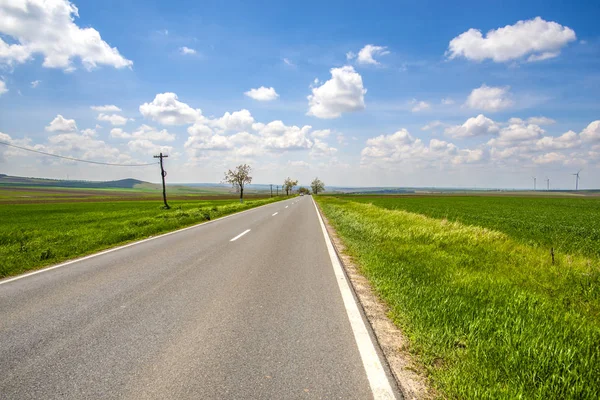 Parlak yeşil alan üzerinden asfalt yol