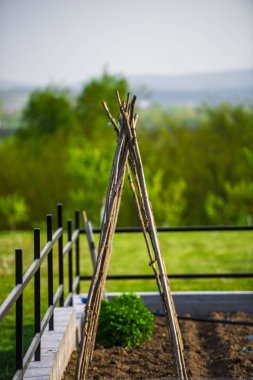 Arka planda bulanık yeşil alan ile bahçede Sopalar