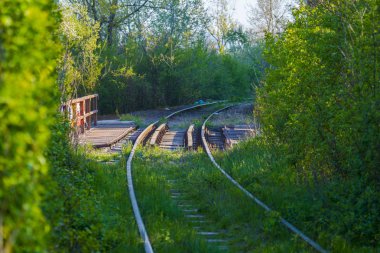Yeşil ormandan terk edilmiş demiryolu yolu