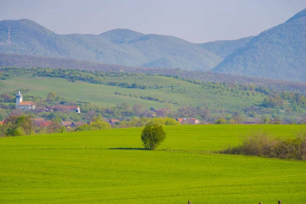 Campos Verdes Com Edifícios Segundo Plano — Fotografia de Stock