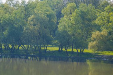 Yeşil tepeleri olan gölet, doğal arka plan.