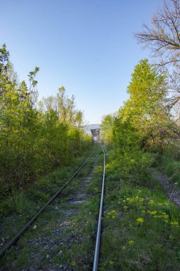 nehir boyunca orman üzerinden eski köprü