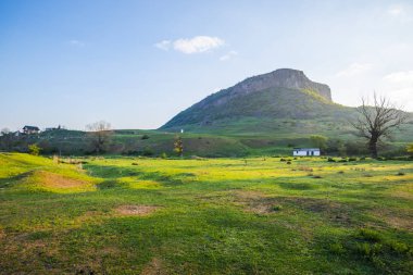 Bahar alanı, doğal arka plan.