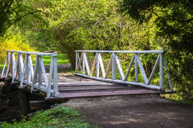 Yeşil bahar parkında gölet arasında ahşap köprü