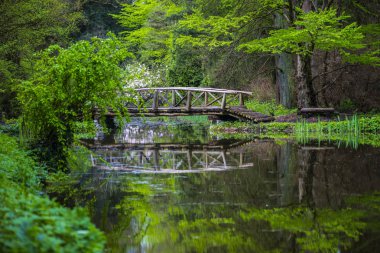Yeşil bahar parkında gölet arasında ahşap köprü