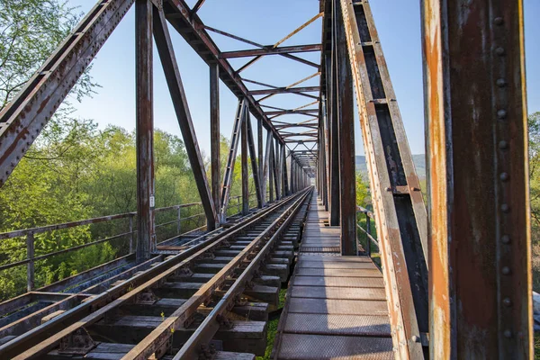Alte Brücke Durch Wald Über Den Fluss — Stockfoto