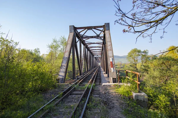 old bridge through forest across river