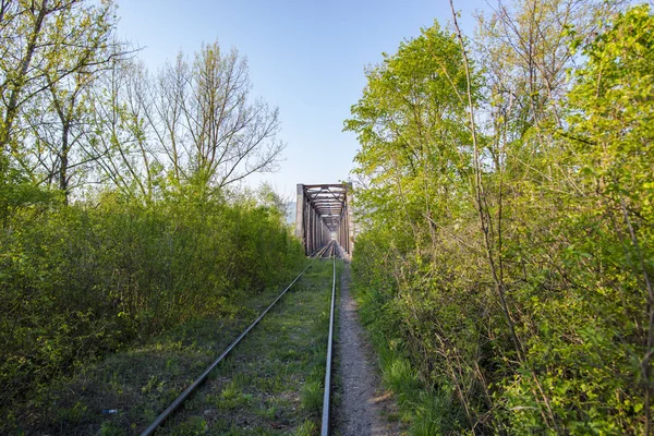 Vieux Pont Travers Forêt Travers Rivière — Photo