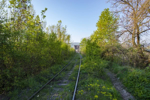 Alte Brücke Durch Wald Über Den Fluss — Stockfoto