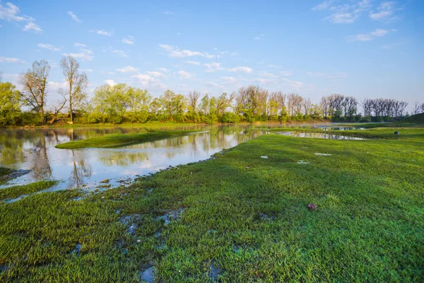 Lente Natuurlijke Achtergrond Met Vijver Omzoomde Door Bomen — Stockfoto