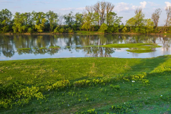 Lente Natuurlijke Achtergrond Met Vijver Omzoomde Door Bomen — Stockfoto