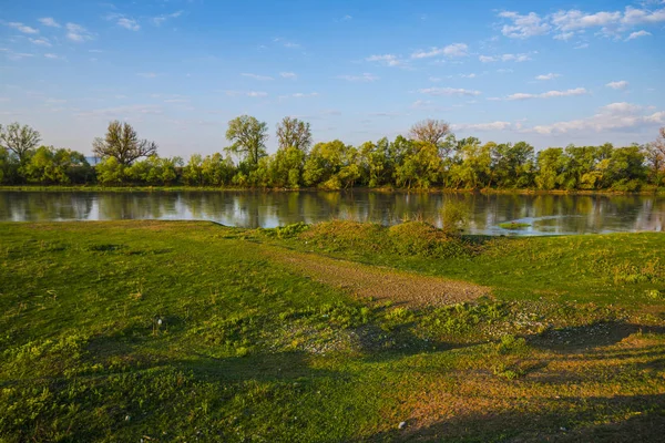 Lente Natuurlijke Achtergrond Met Vijver Omzoomde Door Bomen — Stockfoto