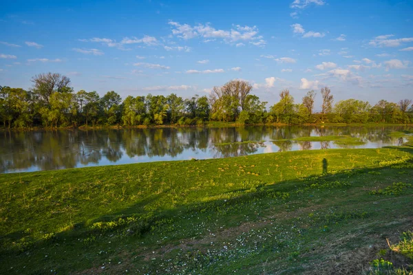 Lente Natuurlijke Achtergrond Met Vijver Omzoomde Door Bomen — Stockfoto