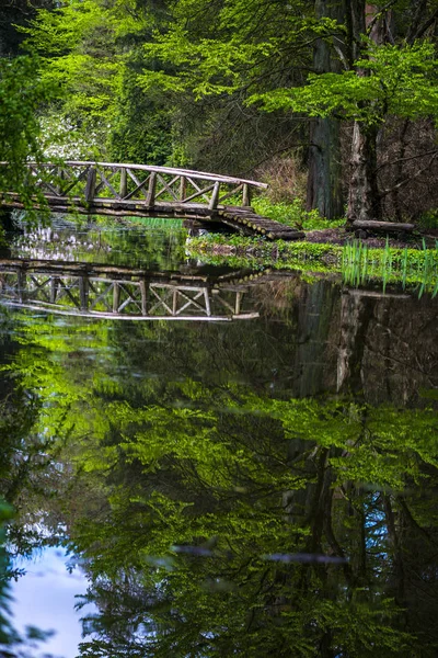 Drewniany Most Przez Staw Zielonym Parku Wiosna — Zdjęcie stockowe