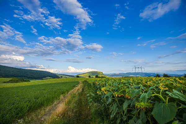 田野与电线杆和多云的天空 自然背景 — 图库照片