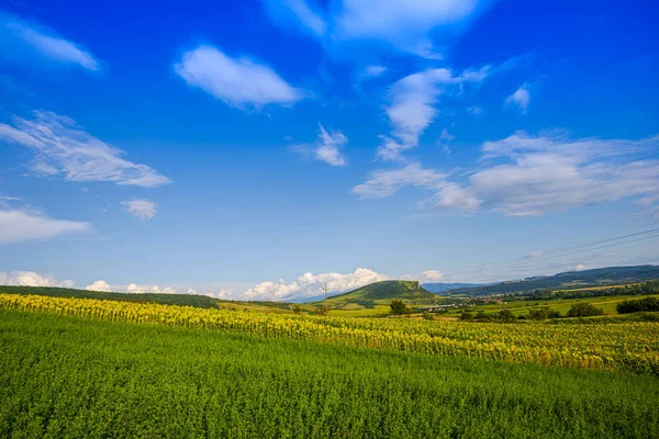 Campo Com Postes Elétricos Céu Nublado Fundo Natural — Fotografia de Stock