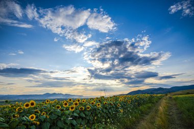 Elektrik direkleri ve bulutlu gökyüzü, doğal arka plan ile Alan