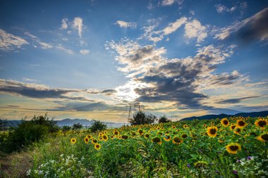 Elektrik direkleri ve bulutlu gökyüzü, doğal arka plan ile Alan