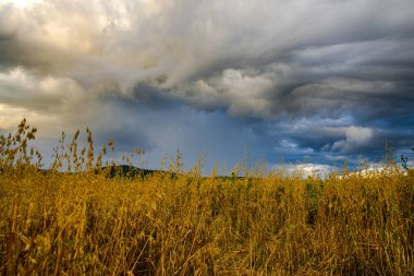 Bulutlu gökyüzü, doğal arka plan ile Alan