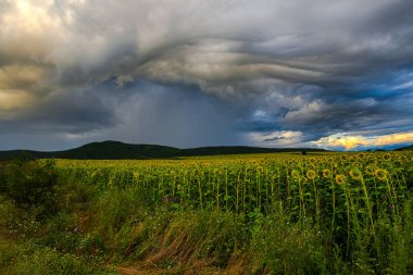 Bulutlu gökyüzü, doğal arka plan ile Alan