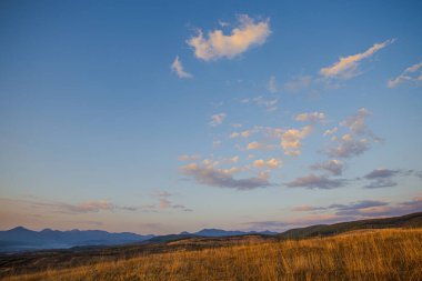 Sonbahar alanı peyzajı - doğal arkaplan