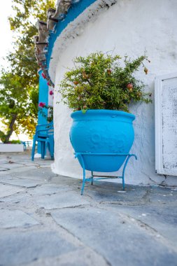 Yunanistan 'da rahat bir bahçe