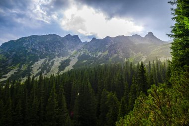 Yüksek dağların doğal manzarası