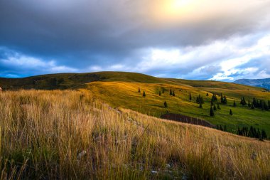 Sonbahar alanı peyzajı - doğal arkaplan