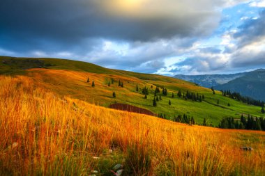 Sonbahar alanı peyzajı - doğal arkaplan