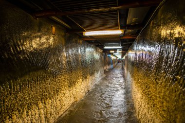 Eski ıslak ev salonu.