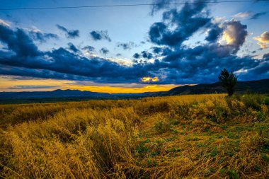 Sonbahar alanı peyzajı - doğal arkaplan
