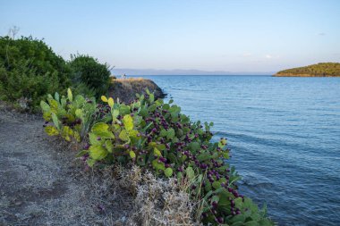 Yüksek dağların doğal manzarası